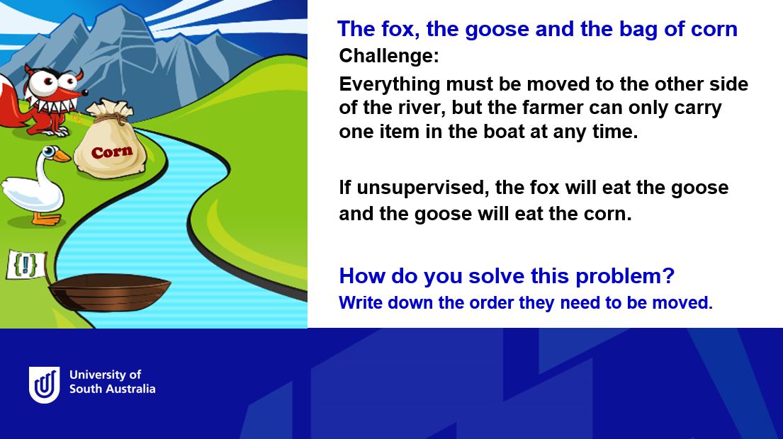 NC26251 (25332): Fox, Goose, Corn Puzzle | learnonline